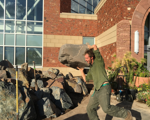 Kenton Seth moving rocks into place in the new crevice garden.