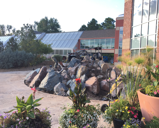 Placing the rocks for the crevice garden.
