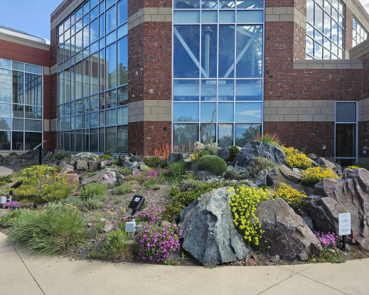 View of the crevice garden