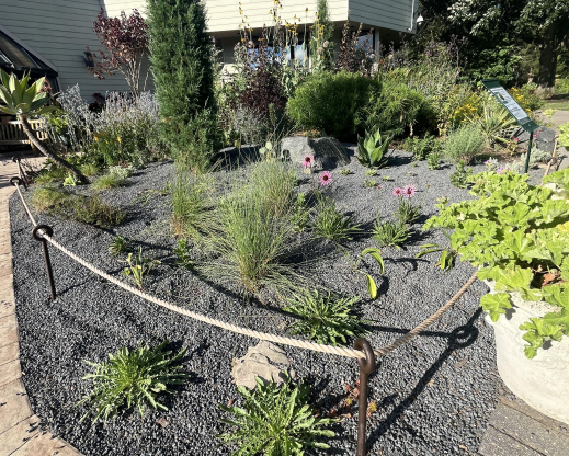 Right side of the Gravel Garden