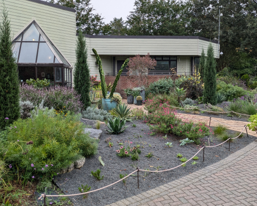 View of the Gravel Garden from the left side.