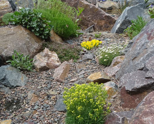 Vista within the Crevice Garden