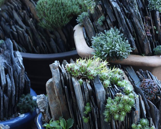 Portable rock gardens are a wonderful addition to any garden. Portable rock gardens are a wonderful addition to any garden.