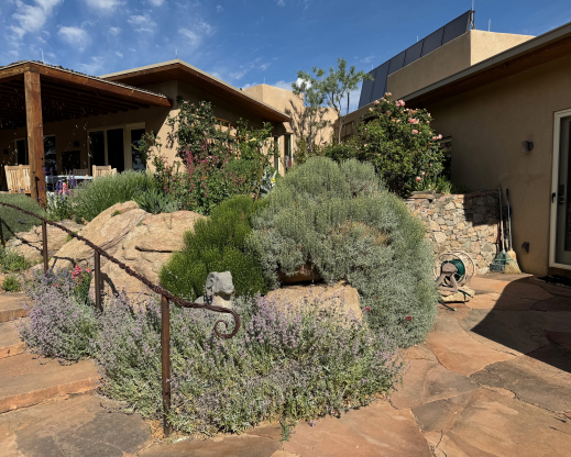 The garden at the front steps.