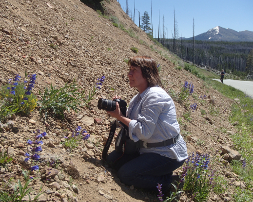 We are gardeners and travelers:  Jenny Wainwright-Klein, of Munich Botanic, in Wyoming
