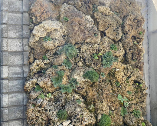 The completed tufa wall with automatic misting system to keep it cool