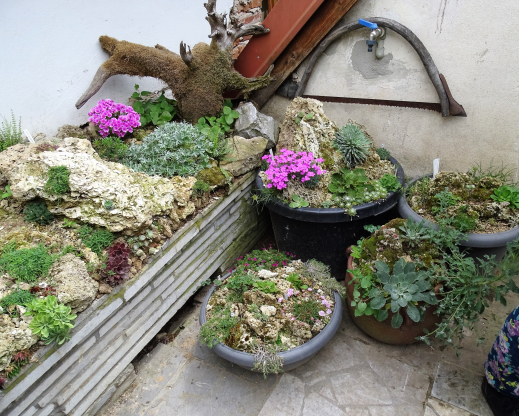 Troughs in Zdenek’s garden.