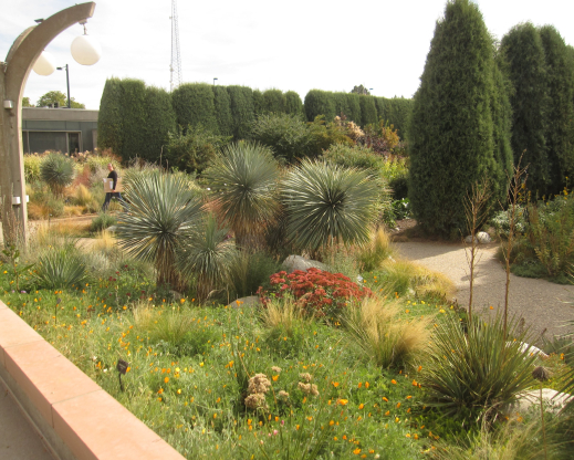 View of the Denver Botanic Gardens, where many plants thrive that are tender elsewhere.