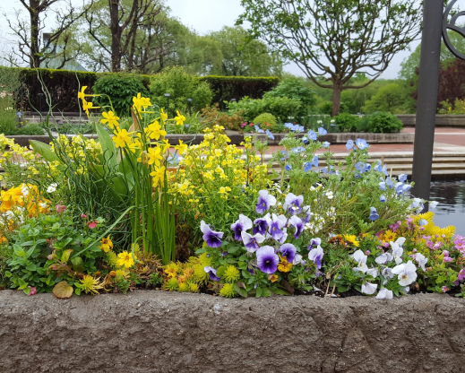 Best Trough Photo: Thomas Soulsby, “Spring No. 3.”