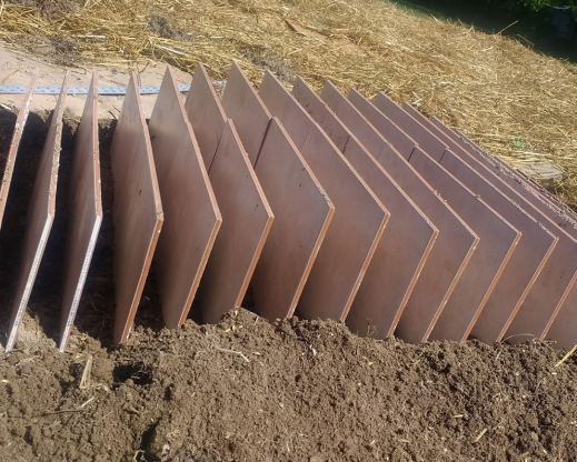Cheap ceramic tiles form the structure of the crevice garden.