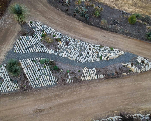 Part of the crevice garden from above.