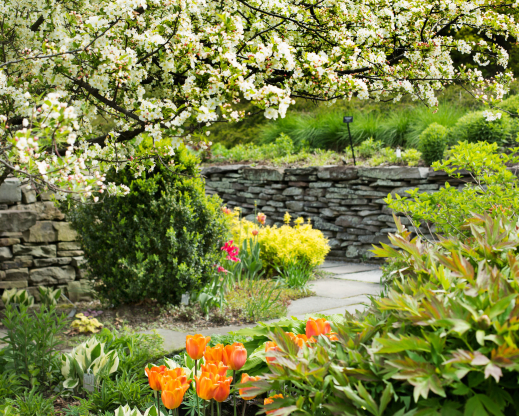 The Young Flower Garden in Spring. Photo by Jay Potter The Young Flower Garden in Spring. Photo by Jay Potter