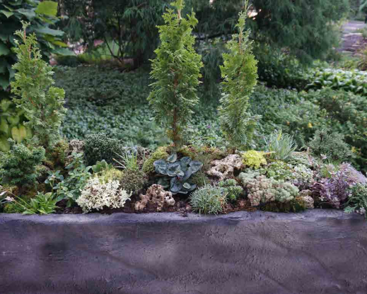 This beautiful trough recruited 15 new members in just two days. Photo by Betty Ann Addison.