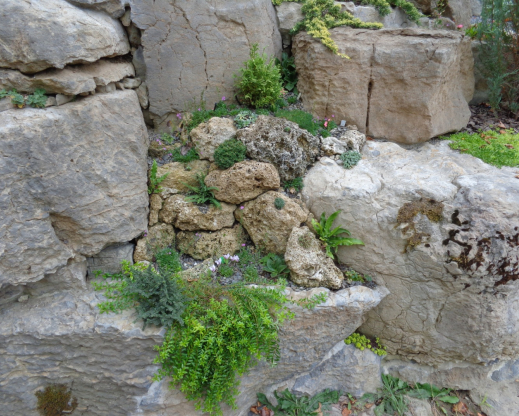 A tufa wall built between two limestone boulders. A tufa wall built between two limestone boulders.