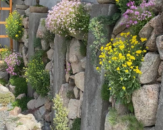 The granite wall gardens