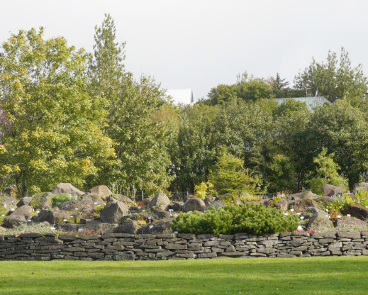 View of the rock garden