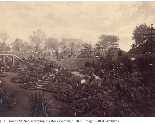 Views of the Royal Botanic Garden, Ediburgh’s rock garden  circa 1877.  Images courtesy of the RBGE archives.
