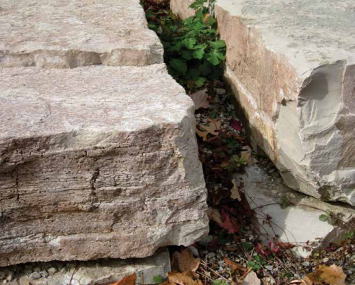 Constructed “gryke” in the alvar garden