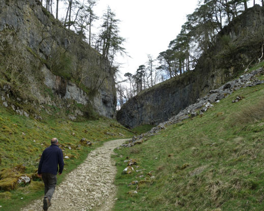 The rocky landscape of Ingleborough, where Farrer grew up. Photo by Joseph Tychonievich The rocky landscape of Ingleborough, where Farrer grew up. Photo by Joseph Tychonievich