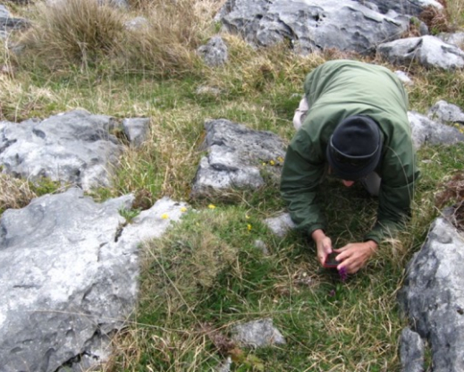 Michael Campbell visiting the Burren on Ireland's west coast.
