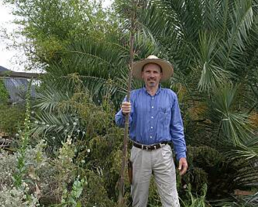 The first documented Mangave hybrid blooming at Yucca Do Nursery.