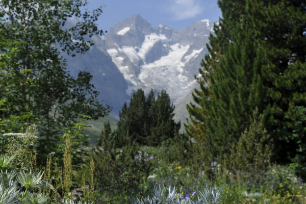 View of La Meije from the garden