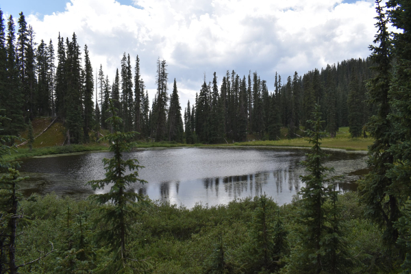 Lake on Engineer Mountain