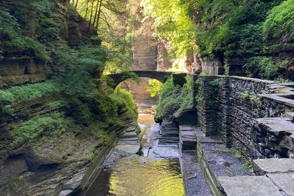 Treman Gorge, Photo by Panayoti Kelaidis