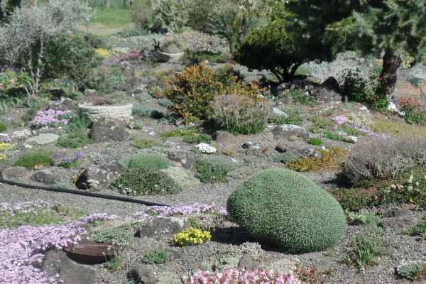View in Kathy’s garden (Photo by Leigh Blake)