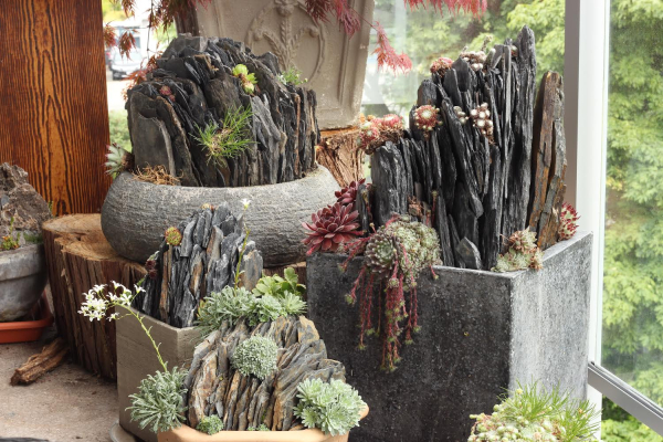 Container crevice gardens