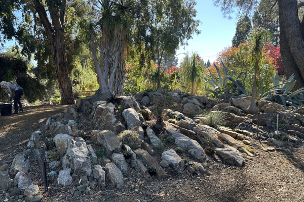 The new crevice garden