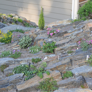 Spriggs Crevice Garden BC