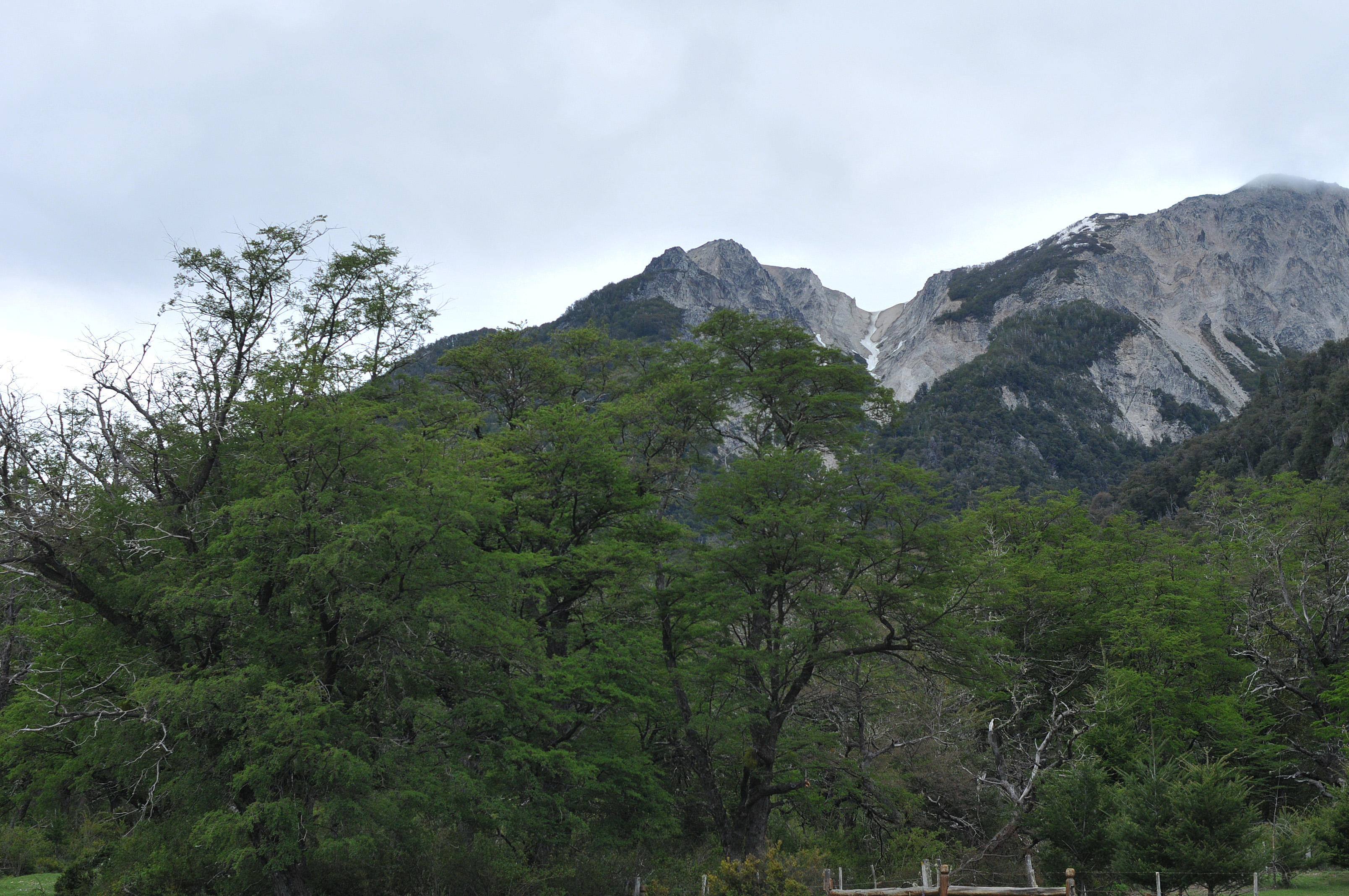 Andes
