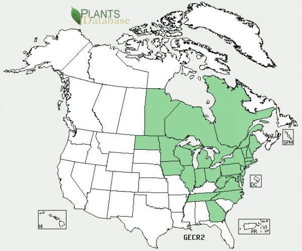 Gentianopsis crinita distribution, shown in green. Map courtesy of US Department of Agriculture.