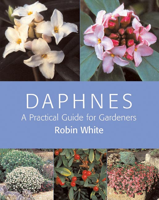 Daphnes: A Practical Guide for Gardeners book cover