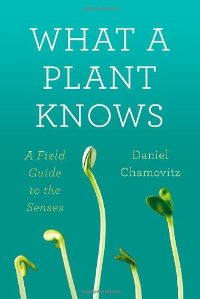 What a Plant Knows Cover