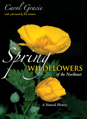 Spring Wildflowers of the Northeast: book cover