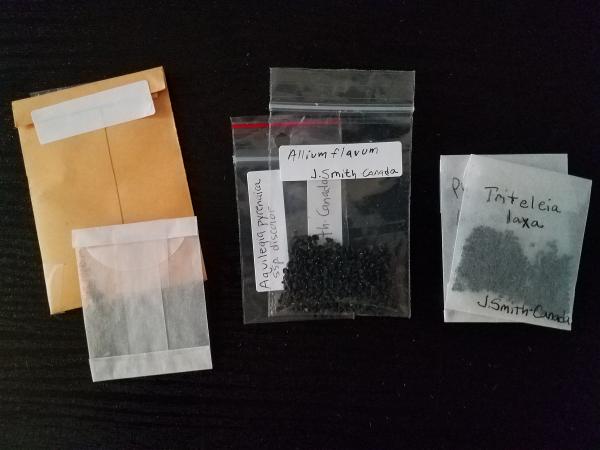Examples of seed packets