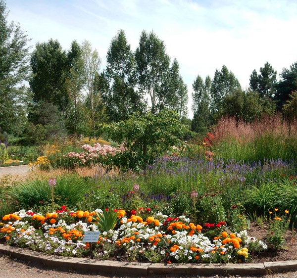 Steamboat Springs Open Gardens North American Rock Garden Society