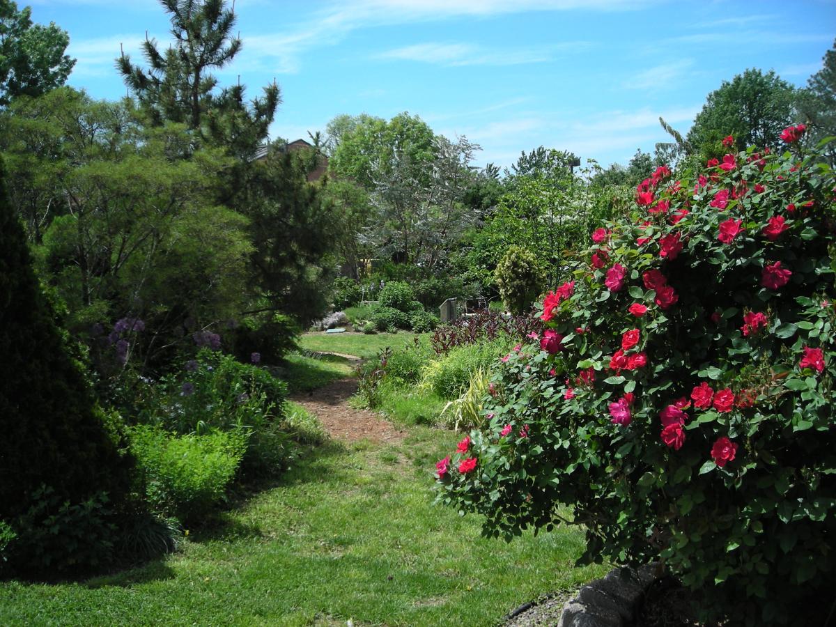 NE view of Simpson Garden