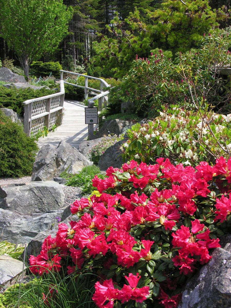 Memorial University of Newfoundland Botanical Garden