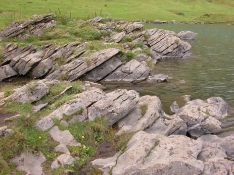 This natural rock formation along the shore of Lake Engstlensee in the Swiss Alps is a picturesque example of a natural damp rock garden.