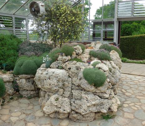 The tufa wall inside the Landscape Alpine House at RHS Garden Wisley