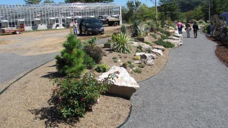 Original planting of the rock garden.