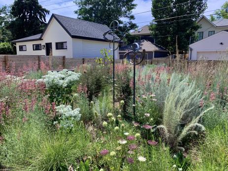 Kinetic sculptures with the free-moving Artemisia filifolia  and rigid Euphorbia marginata 