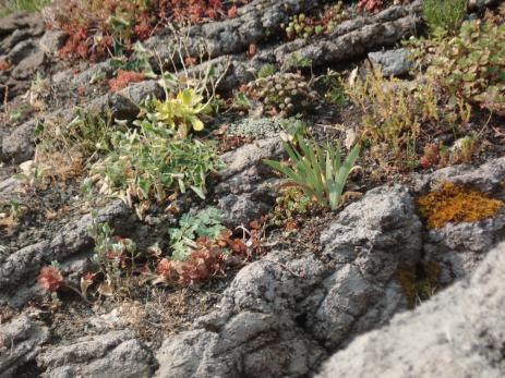 The “bench” outcropping mimics natural rock formations