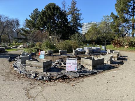 Troughs in place, ready to begin on the crevice garden