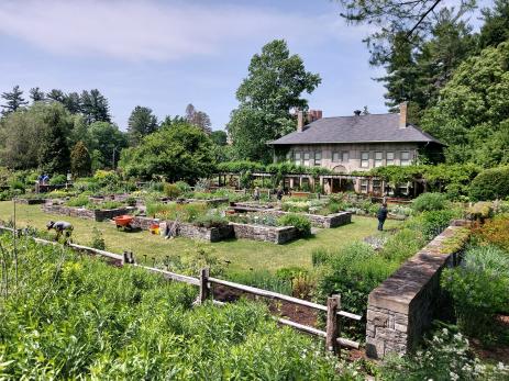 Herb garden at Cornell Botanic Gardens. Photo by Eleftherios Dariotis. 