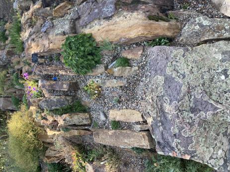 Crevice bed at Betty Ford Alpine Garden