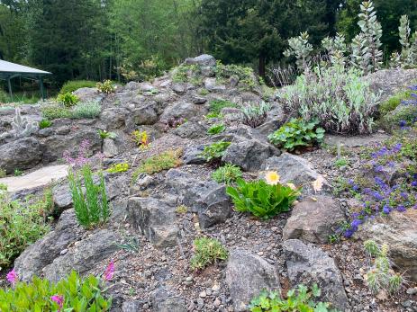 Views of the new Heronswood rock garden.